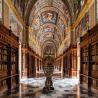 images/gallerie-ricerche/CantieriCinquecento/6_biblioteca-monastero-el-escorial-madrid-spagna-nkw11k060nrchzeis9afxk01qlzcculyyajcazpuwc.jpeg